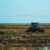 Schlechte Ernten-hohe Preise. Ein Traktor bearbeitet ein Feld. Hintergründig stellt sich die Frage nach dem Klimawandel und seinem Beitrag