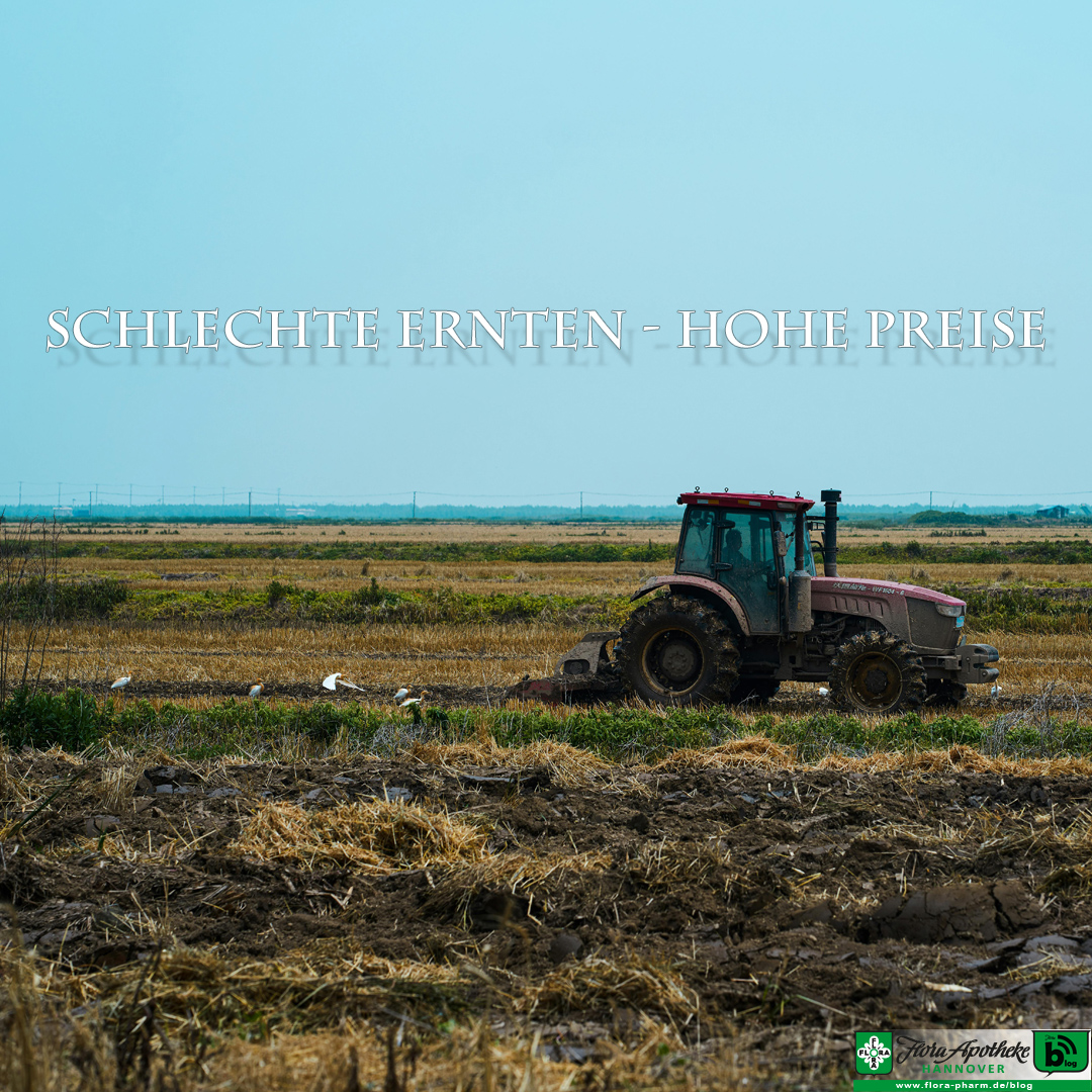 Schlechte Ernten-hohe Preise. Ein Traktor bearbeitet ein Feld. Hintergründig stellt sich die Frage nach dem Klimawandel und seinem Beitrag