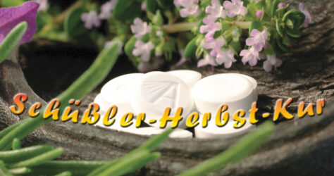 Schüßler-Salze Herbst-Kur - Zur optischen Untermalung liegen Tabletten neben Zweigen in einer Holzschale