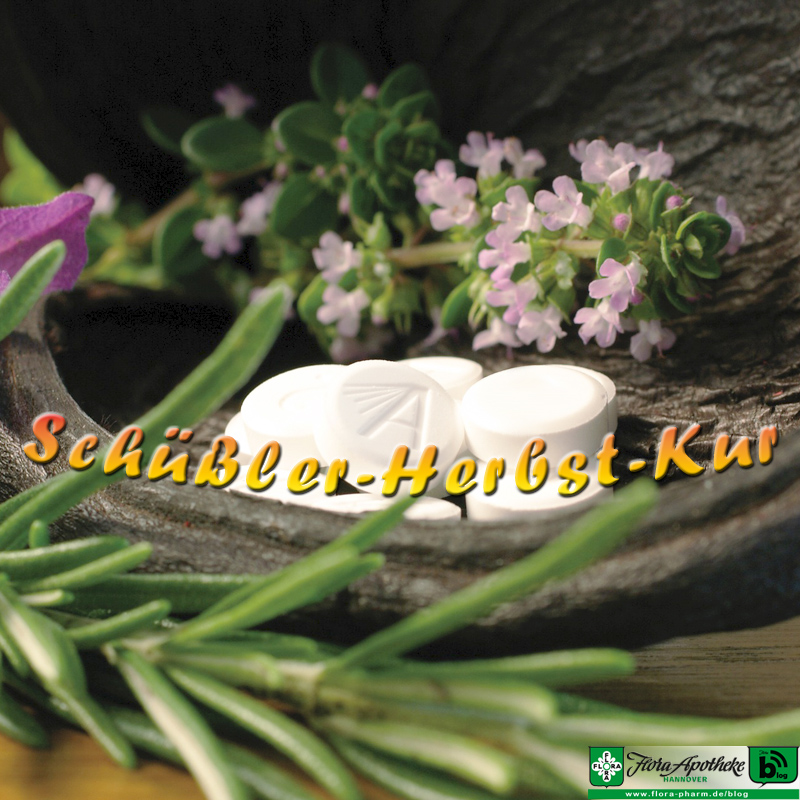 Schüßler-Salze Herbst-Kur - Zur optischen Untermalung liegen Tabletten neben Zweigen in einer Holzschale