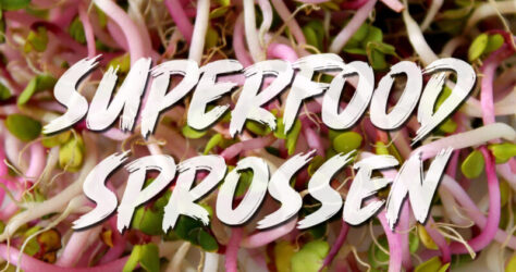 Sprossen sind ein Superfood. Im Bild zu sehen sind Radieschensprossen