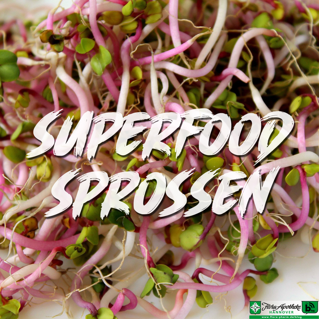 Sprossen sind ein Superfood. Im Bild zu sehen sind Radieschensprossen