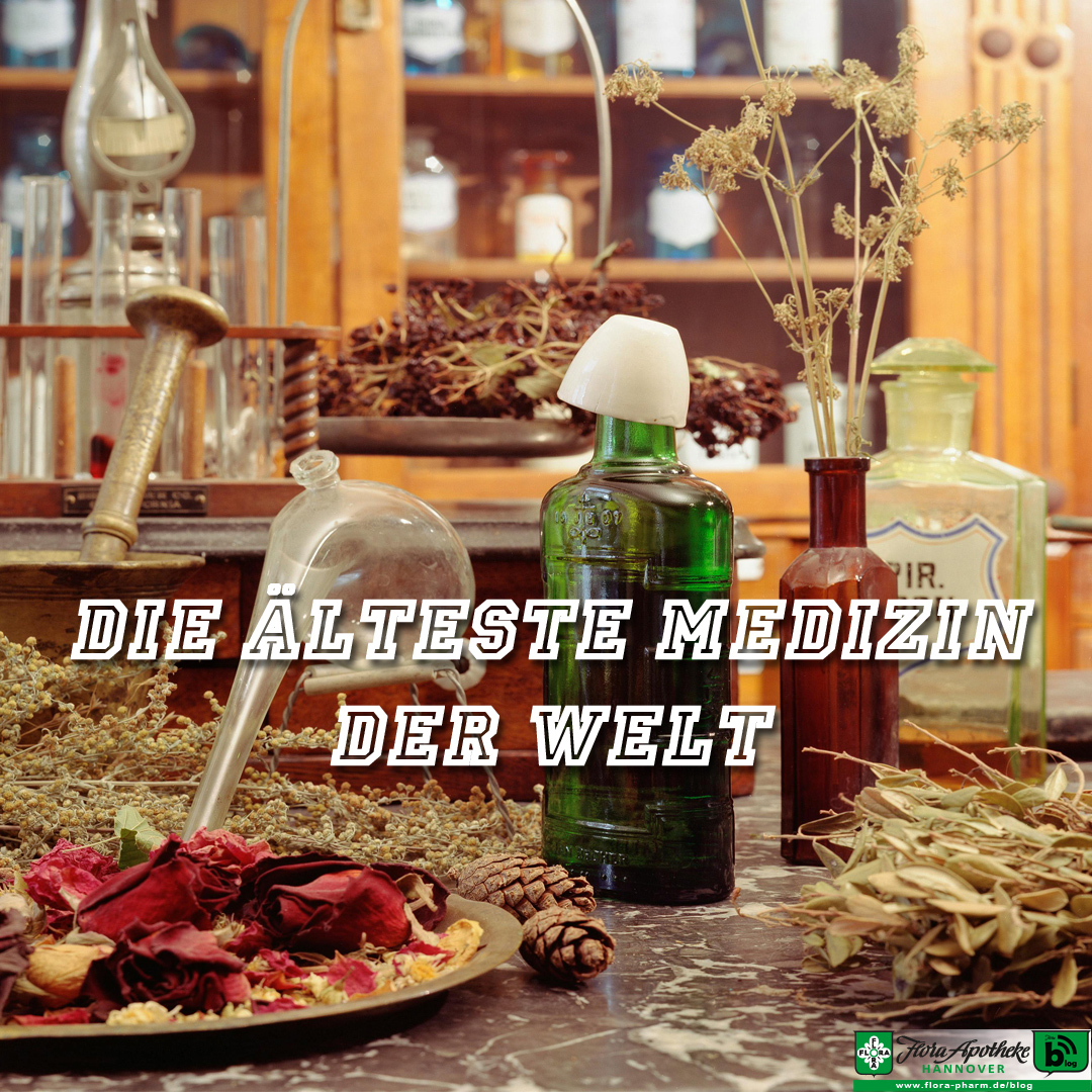 Die älteste Medizin der Welt - Vor dem Hintergrund klassischer Apotheken Regale und Utensilien liegen Pflanzenteile auf dem Tisch, um anzuzeigen, dass es hier um Heilpflanzen geht