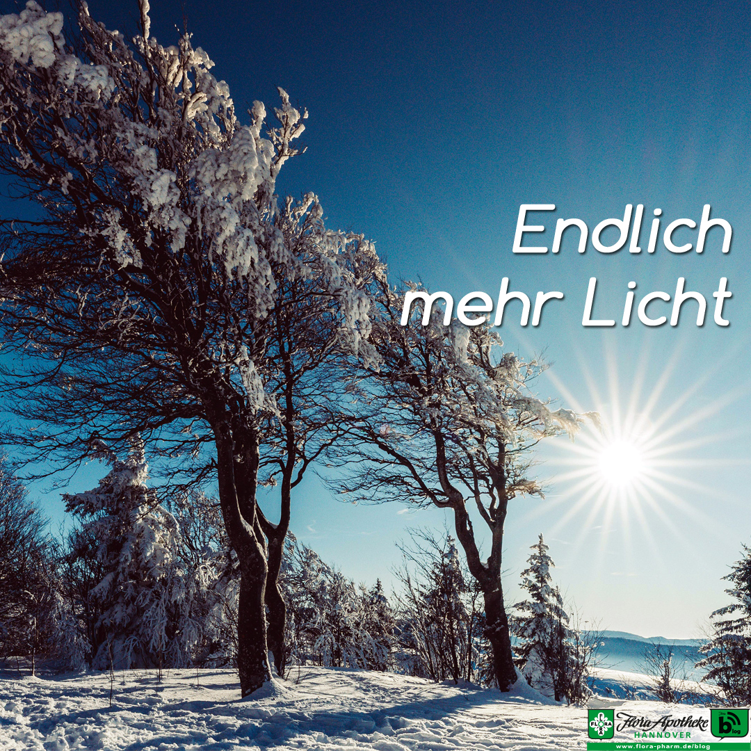Endlich mehr Licht beschreit der Text im Bild einer Winterlandschaft. Schnee auf den Bäumen, abeer auch eine strahlende Sonne in blauem Himmel. Das Licht soll den Winterblues vertreiben.