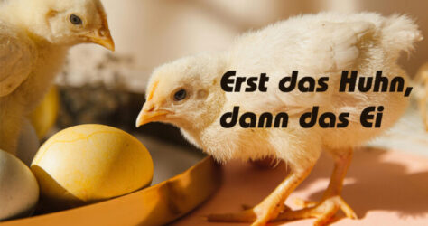 Erst das Huhn, dann das Ei. Zu sehen sind zwei Küken und zwei Eier. Hintergrund ist das bevorstehende Osterfest und die damit verbundene Hochsaison für Eier