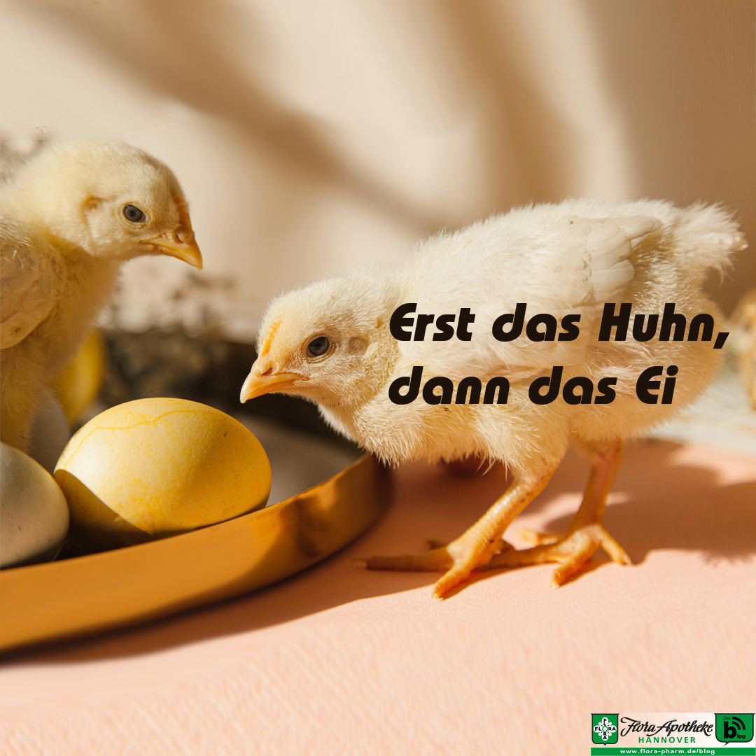 Erst das Huhn, dann das Ei. Zu sehen sind zwei Küken und zwei Eier. Hintergrund ist das bevorstehende Osterfest und die damit verbundene Hochsaison für Eier