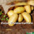 Frühkartoffeln sind feine Früchtchen. Das Bild zeigt einen Sack, aus dem Frühkartoffeln Füllhorn-gleich herausrollen auf erdigen Untergrund
