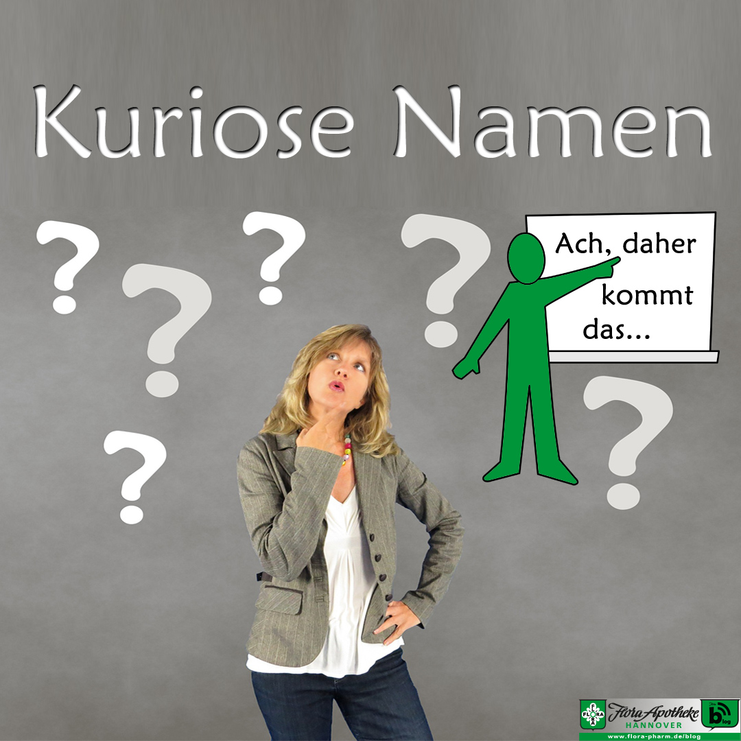 Kuriosee Namen werden in diesem Artikel erklärt. Im Bild zeigt eine Figur auf eine Tafel mit den Worten: Ach, daher kommt das. Im Vordergrund schaut eine Frau überlegend in die Luft, um sie herum sind Fragezeichen